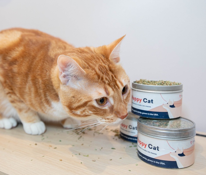 Hoboken Animal Hospital & Vet Clinic Bond Vet